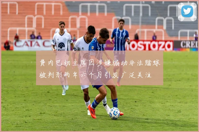 费内巴切主席因涉嫌煽动非法赌球被判刑两年六个月引发广泛关注